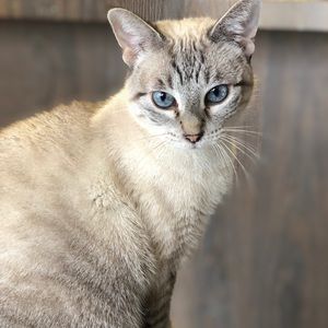 Meet your Posher, Gina